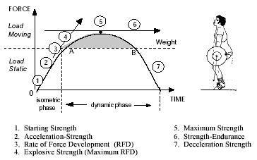 Maximal force and rate of force development (RFD) at different time