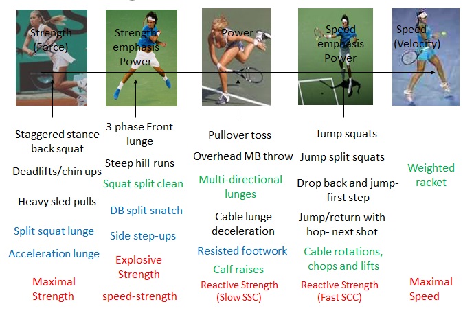 Strength and Power exercises