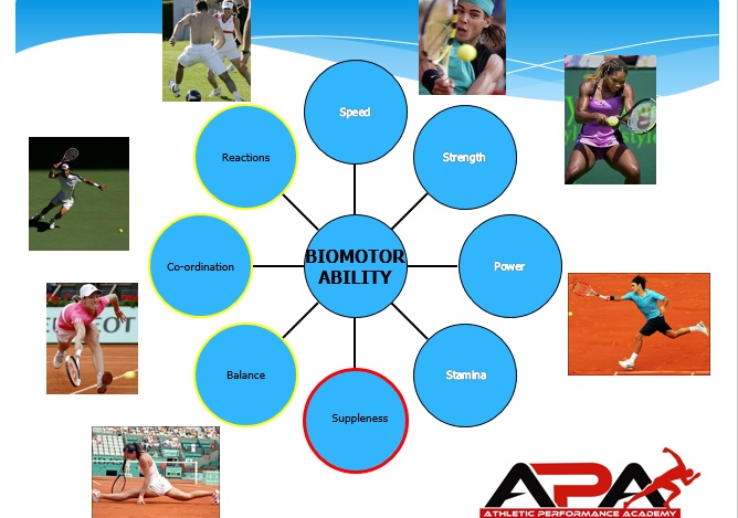 Athletic Ability and the Anatomy of Motion: Athletic Ability and