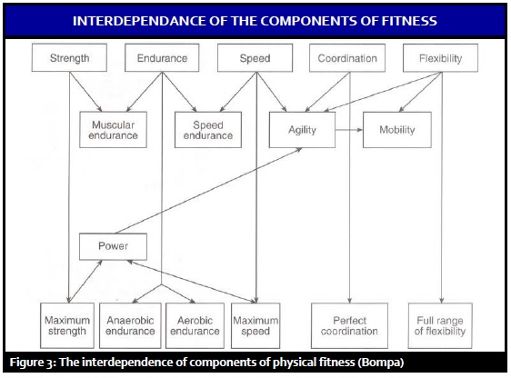 What is Athleticism and How is it Tested? Are We Re-inventing the Wheel? —  Human Performance Blog · Volt Athletics